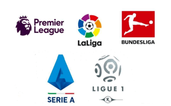 成都不仅提 成都不仅提